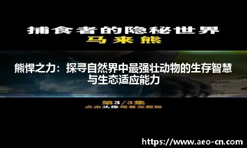 熊悍之力:探寻自然界中最强壮动物的生存智慧与生态适应能力